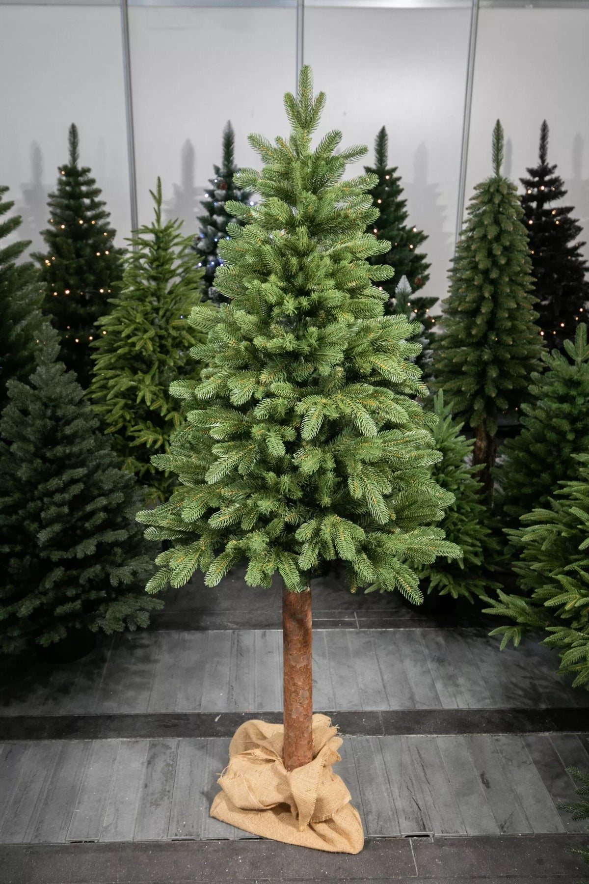 220 cm Kalėdinė eglutė „Skandinaviškas kėnis“