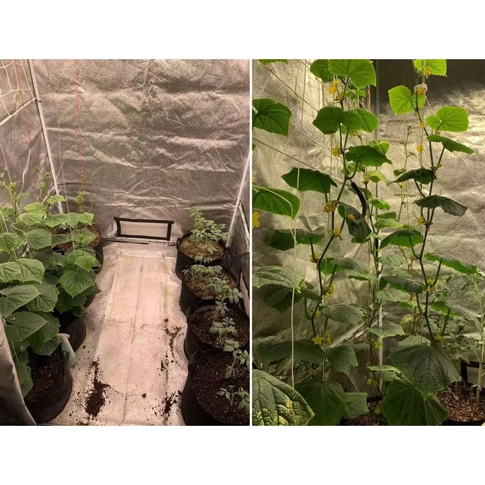 Palapinė Augalams "Grow tent"