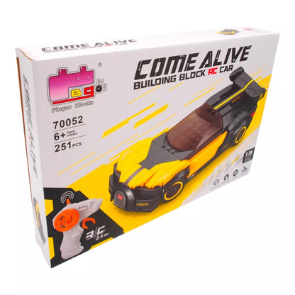 Konstruktorius/suvenyras RC mašinėlė TR2055G